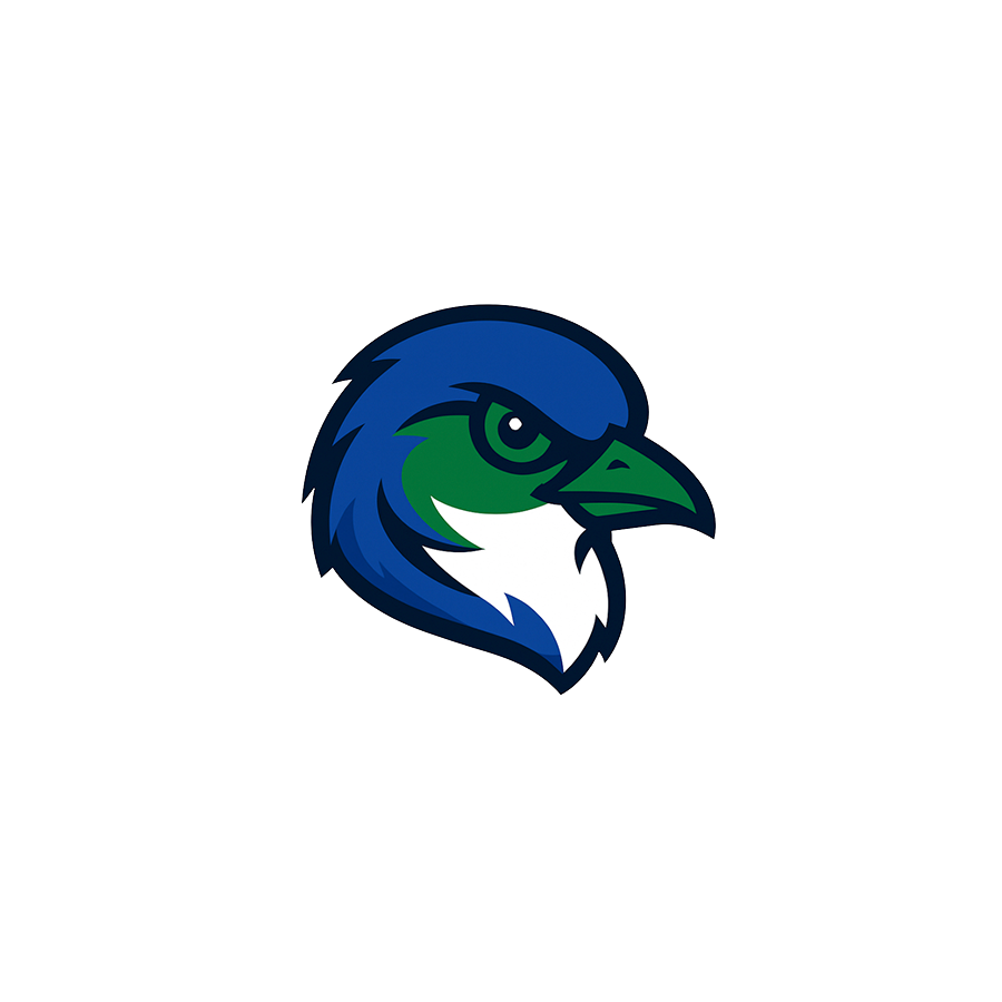 Janesville High School Womens Hockey Team Bluebirds