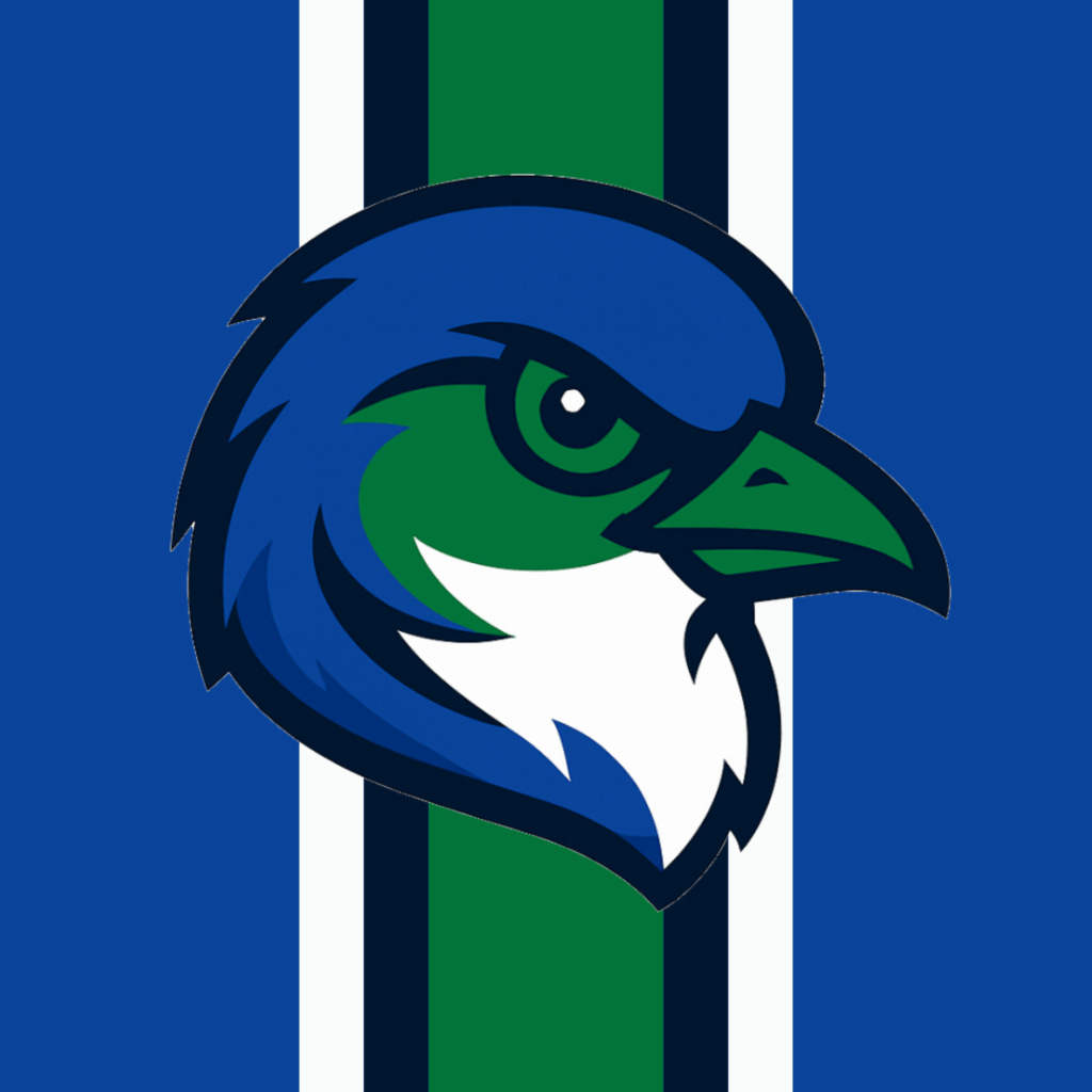 Janesville Bluebirds Girls Hockey