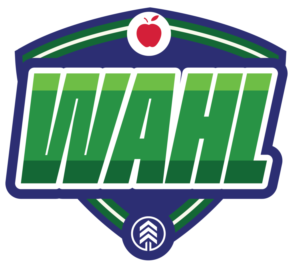 Woodman's Adult Hockey League - WAHL